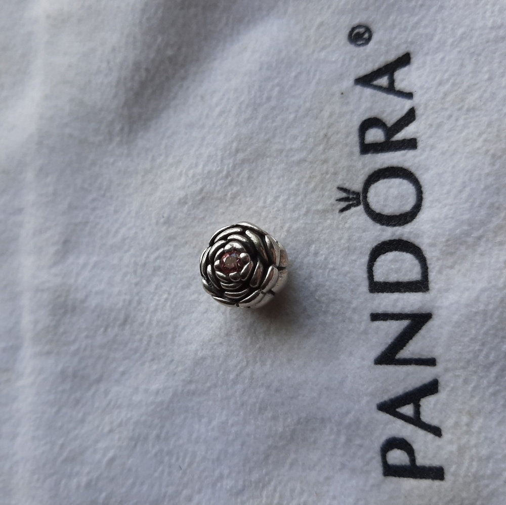 Pandora Charm